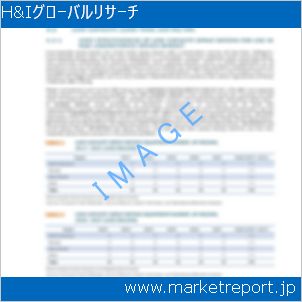 市場と産業調査レポートのイメージ